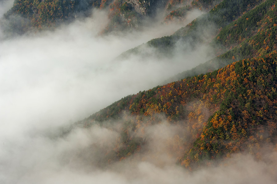 大别山之秋——天堂1