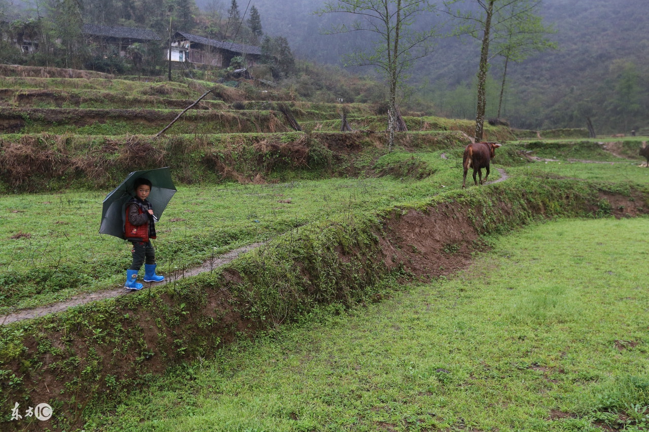 留守孩子的教育之殇,留守儿童成长之痛