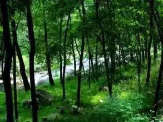 只是去个公园,却翻了几座山!