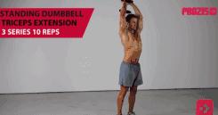 哑铃练全身新手哑铃训练计划,哑铃训练动作练全身详细图