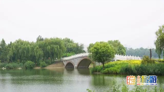 京城最大郊野公园，不仅免费，还藏了好多不为人知的秘密！