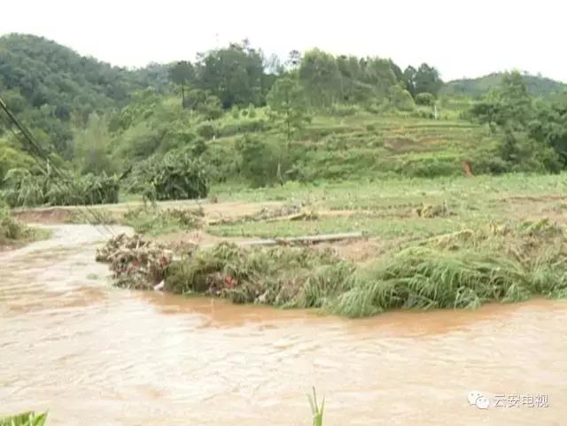 帕卡台风现在情况,帕卡台风最新情况