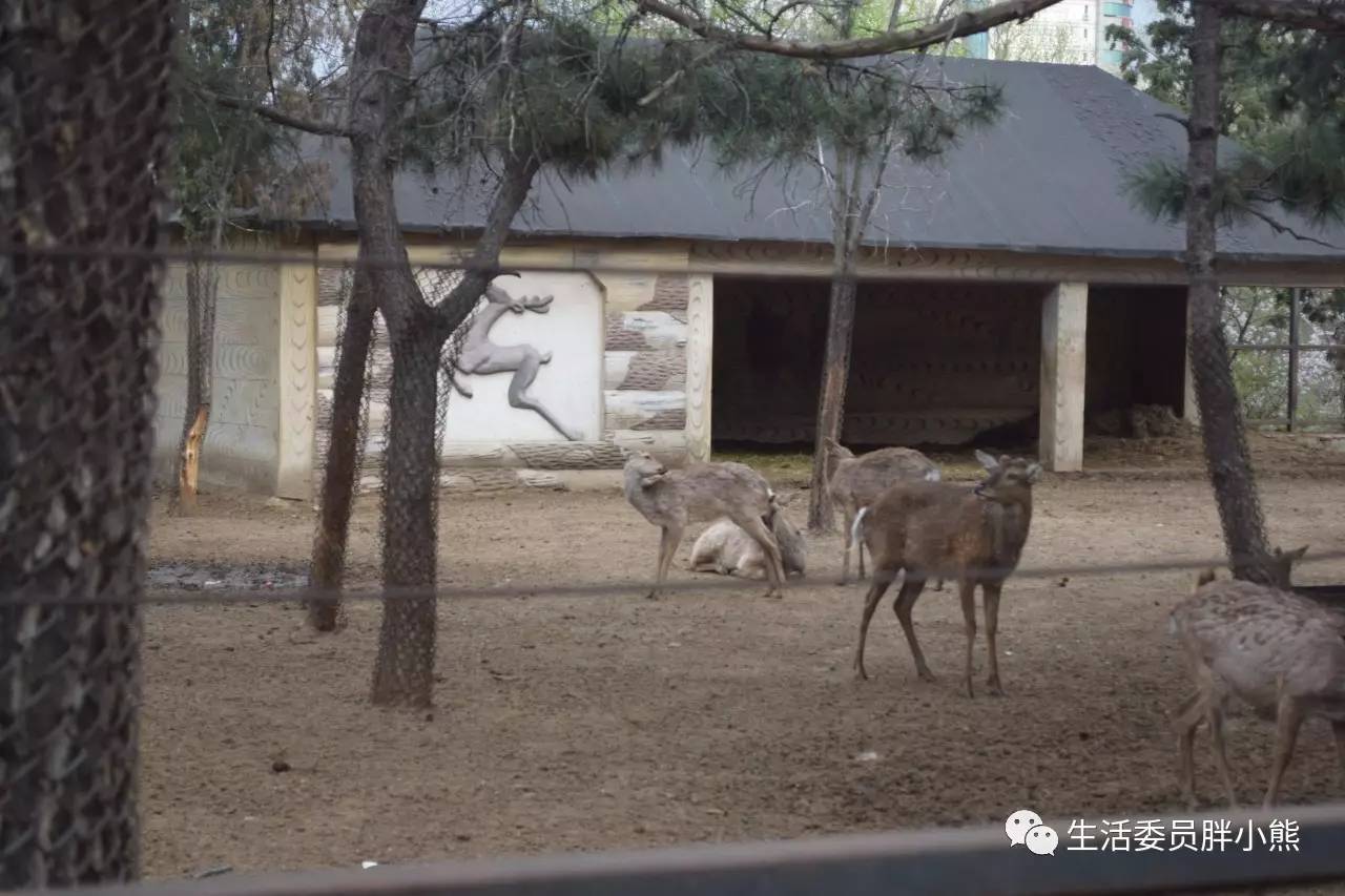 一个人的旅行延吉,延吉旅行日记