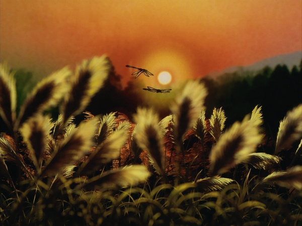 豆瓣高达9.7分日本再出动画神作,豆瓣评分高达8.7的日本动画