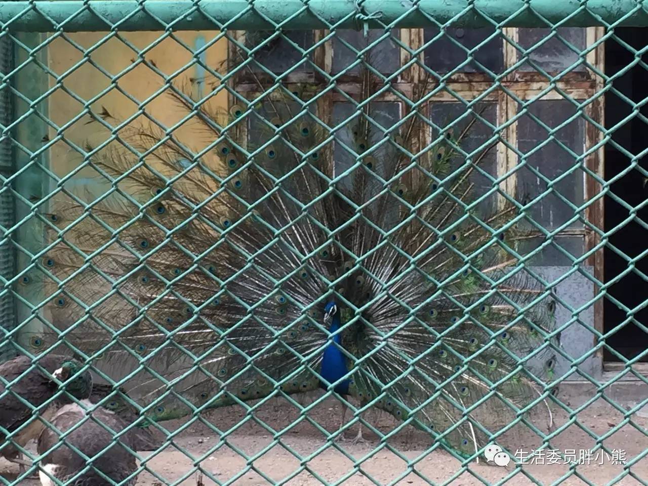 一个人的旅行延吉,延吉旅行日记