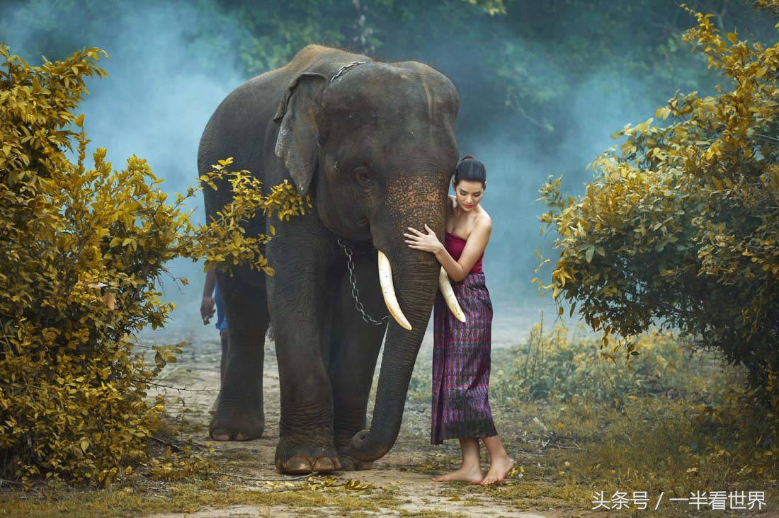 泰国游玩到中暑是什么概念,泰国高温还能去旅游吗