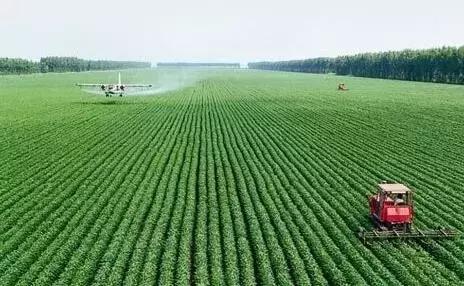 农业发展扩张要理智，贪心急进害死你自己附广州江南0828菜价