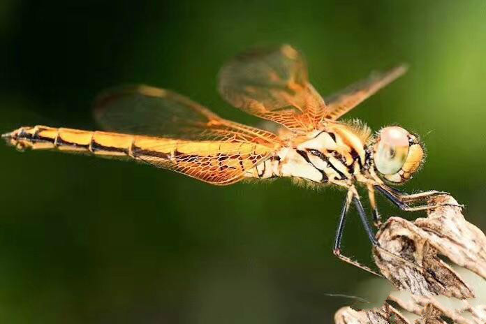 世界因你而美好原唱,世界因你而美好