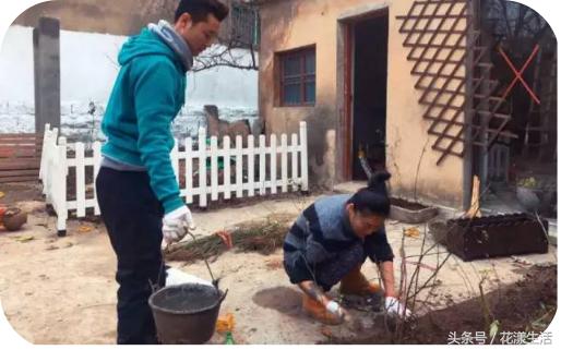 她把2000平方的屋子改造成花园,夫妻花3万改造荒废20年的农村老屋