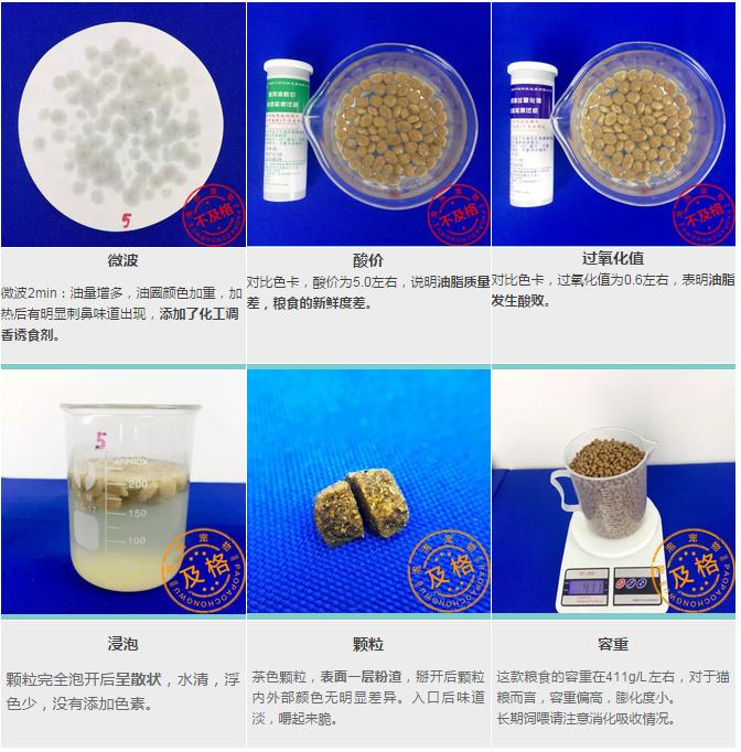 全阶段猫粮适合什么年龄的猫,幼猫成年猫通用猫粮推荐