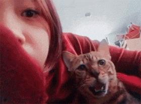 坐大巴车到了会停哪,坐大巴到高速路口