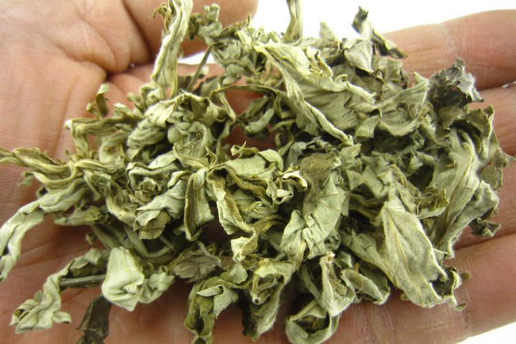 坚持用艾草泡脚一个月的变化,用艾草水泡脚一个月身体变化