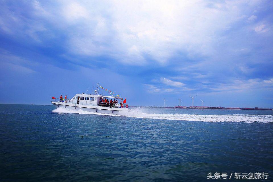 荣成烟墩角天鹅拍摄机位,世界最大天鹅