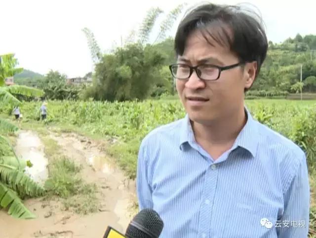 帕卡台风现在情况,帕卡台风最新情况