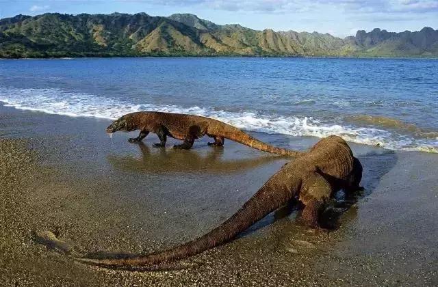 爱上邮轮的十个理由,爱上潜水的理由