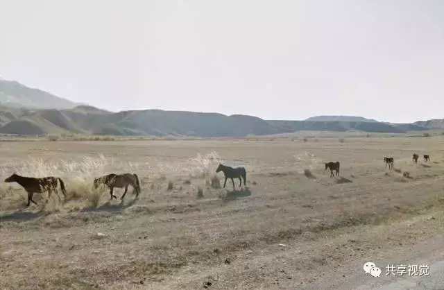 google街景照片怎么拍,谷歌地图摄影作品