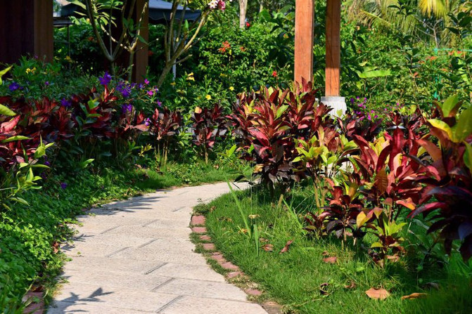 去西双版纳旅游吃住行攻略,去西双版纳旅行自由行攻略