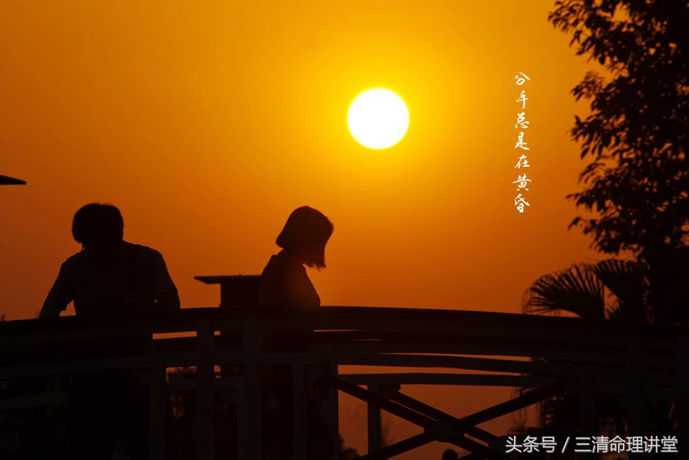 龙兔亲密多少合适,龙兔相逢泪交流是什么意思