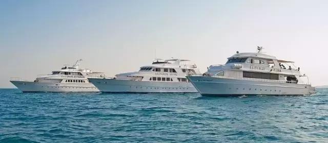 爱上邮轮的十个理由,爱上潜水的理由