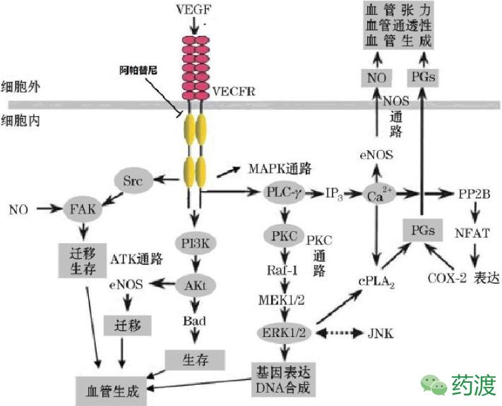 甲磺酸阿帕替尼恒瑞,恒瑞甲磺酸阿帕替尼多少钱一盒