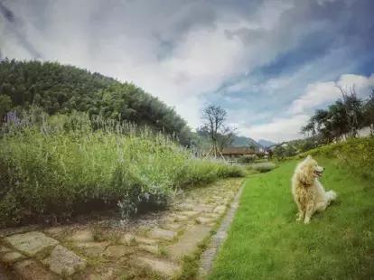 第一次骑山地自行车的感受,第一次骑行的经历