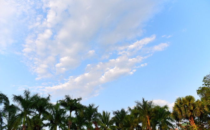 去西双版纳旅游吃住行攻略,去西双版纳旅行自由行攻略