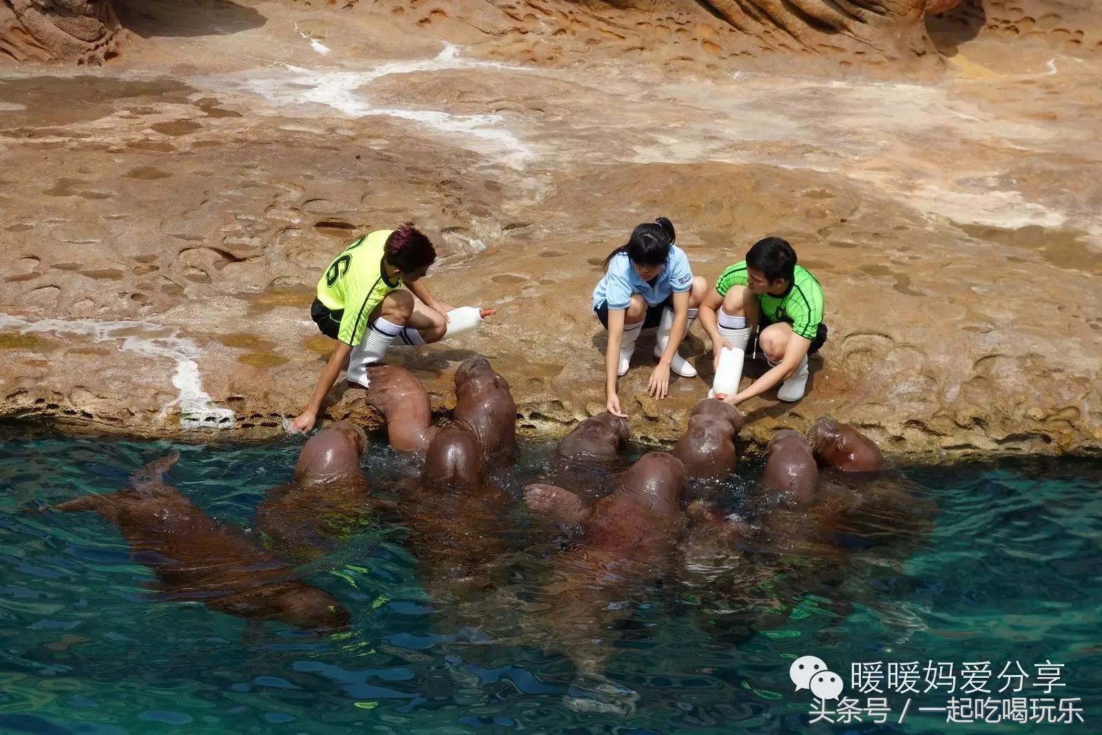 深圳长隆海洋王国攻略,珠海长隆国际海洋王国游玩攻略