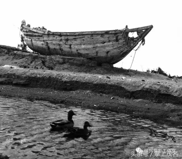 手机摄影田园生活图片,手机摄影主题