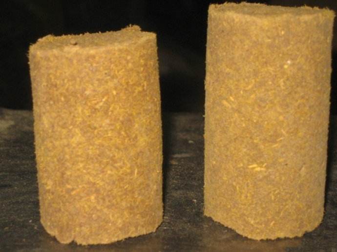 最新的科普五个有趣的冷知识,最奇葩的冷门知识大全