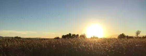 威海千里海岸线风景画,威海的海边适合拍照的地方