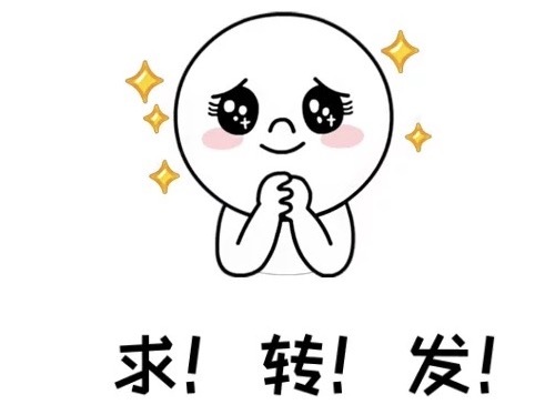 没钱能救助流浪动物么,没钱学生党怎么办