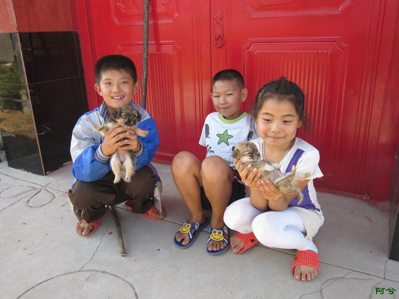 2022年60岁以上的农民有什么补助,2022农民养老金补助350元是真的吗