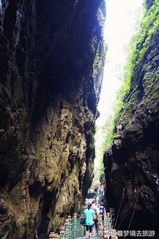 重庆最美黑山谷景区,重庆万盛黑山谷旅游如何