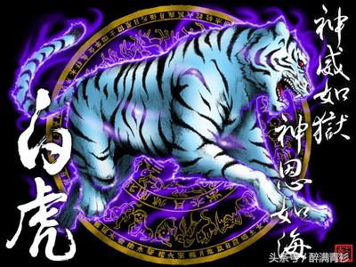 古代神兽大全排名,四象对应方位和神兽