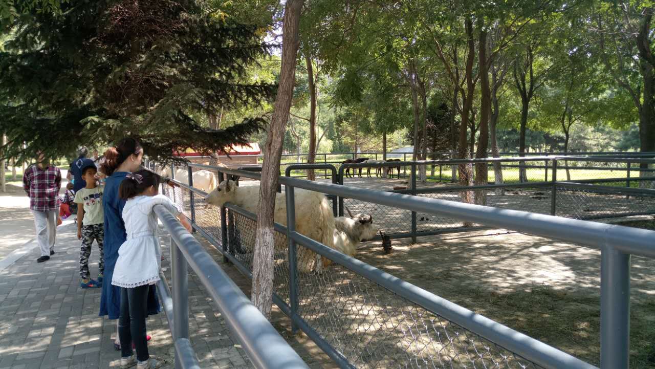 沈阳长白岛森林公园有海吗,游沈阳的长白岛森林公园400字作文