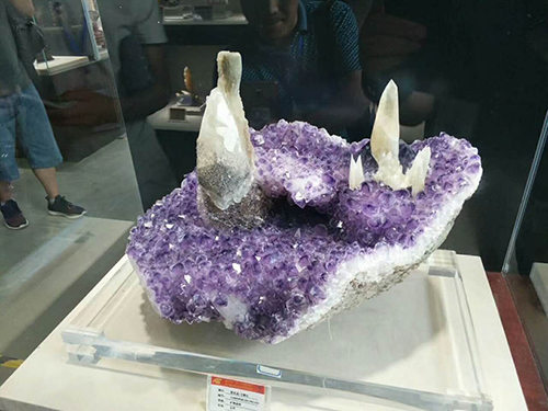 这个石展为何会从万众瞩目到一片哗然?