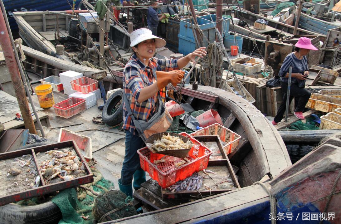 黄渤海有什么海鲜,黄渤海海鲜