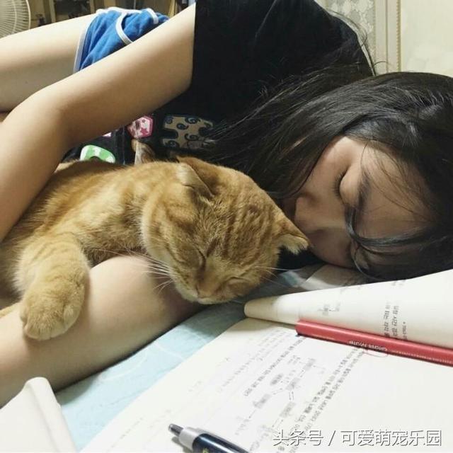 果粒橙搞笑段子,有没有搞笑橙子视频