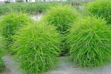 湿疹的根源在哪里怎样才能根治,湿疹怎么治疗不留后遗症