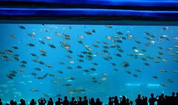 珠海长隆横琴酒店到海洋王国,珠海横琴长隆海洋王国门票价格