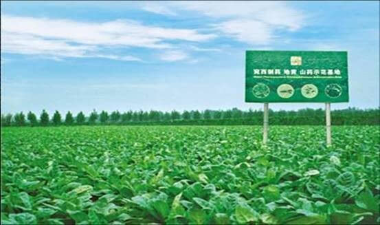 日本汉方为什么遍地开花,日本汉方医学现状