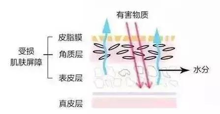 护肤老司机,十大坑人护肤流言
