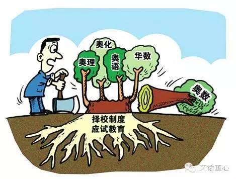 奥数那些事儿,关于学奥数的那些事