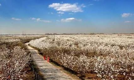 烟台踏青最佳方案,烟台最好的踏青方法是什么
