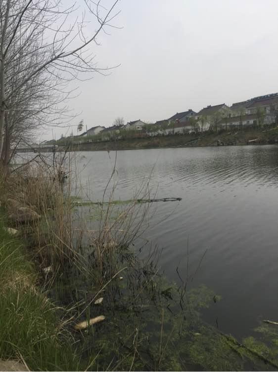 上班绑鱼钩，午休去钓鱼，因为工作耽搁了钓鱼，太不值！