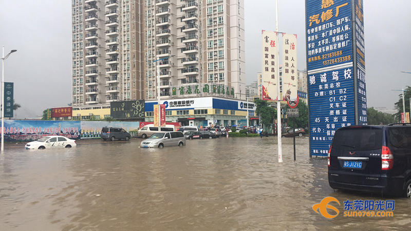 东莞海滩必备泳衣,东莞海边最新消息