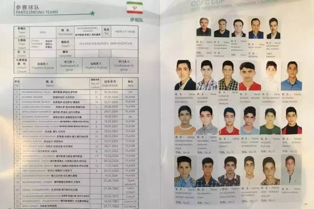 青少年足球四国邀请赛,世界少年足球锦标赛综述