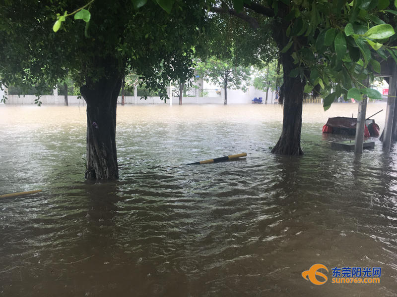 东莞海滩必备泳衣,东莞海边最新消息