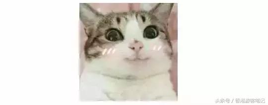 tf和ysl口红哪个更高端,50块的口红和100的区别