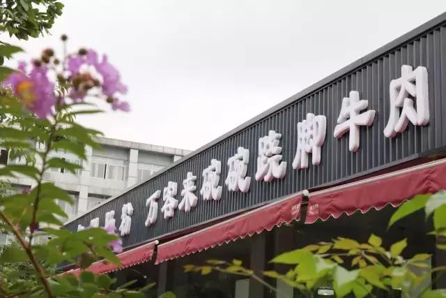 成都地铁18号线沿途吃喝玩乐,成都10号线特色地铁站